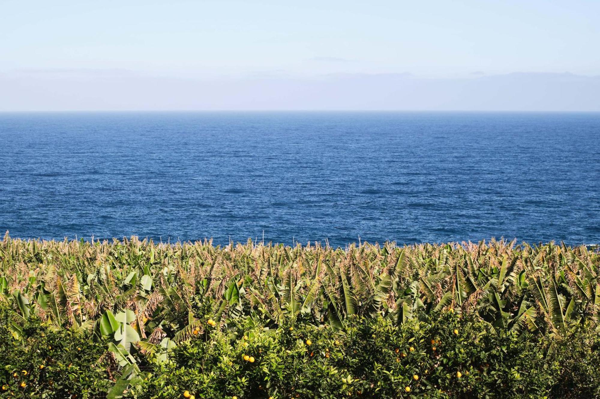 El Convento Ii Tranquilidad Y Vistas Unicas Apartment San Andres (La Palma)